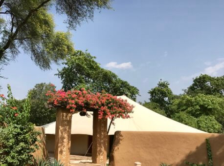 Outside view of the Tents