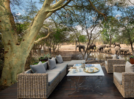 Header-elephants-at-waterhole-at-luxury-andbeyond-ngala-safari-lodge-close-to-kruger-national-park-in-south-africa1