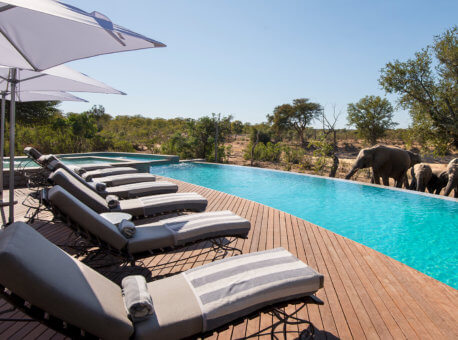 swimming-pool-with-elephants-at-luxury-andbeyond-ngala-safari-lodge-close-to-kruger-national-park-in-south-africa