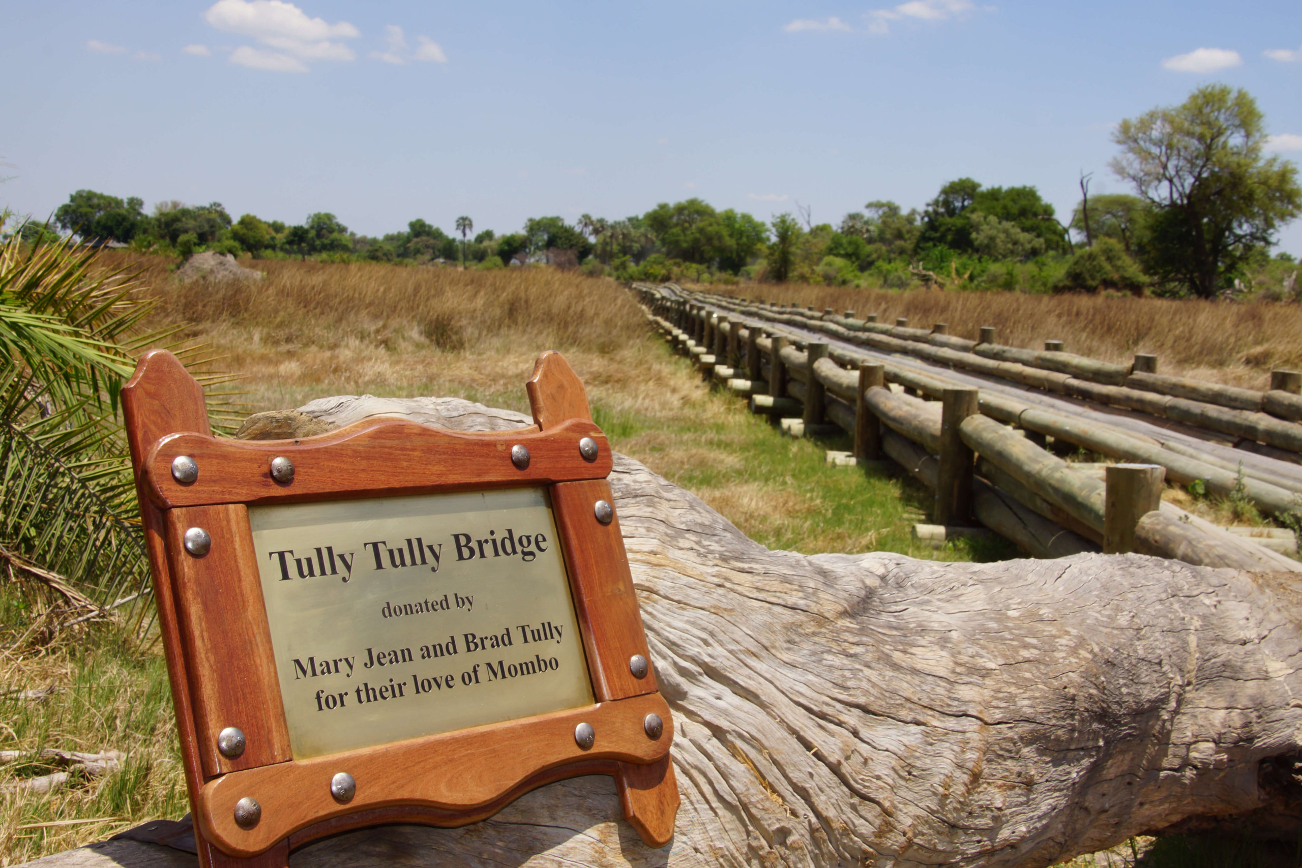 <b>NEWSWIRE: </b>Tully Tully Bridge